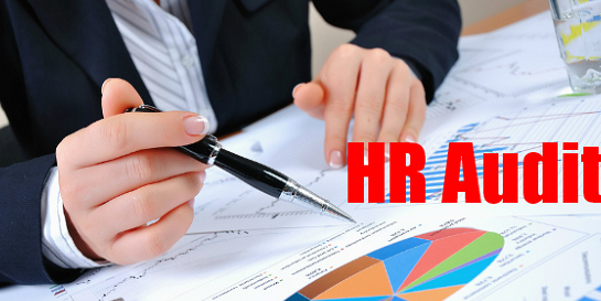 Workshop on HR Audit